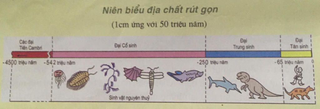 con-nguoi-uat-hien-vao-giai-doan-nao