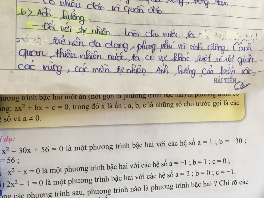 dac-diem-vi-tri-dia-ly-viet-nam-ve-mat-tu-nhien-co-anh-huong-gi-den-tu-nhien-va-kinh-te