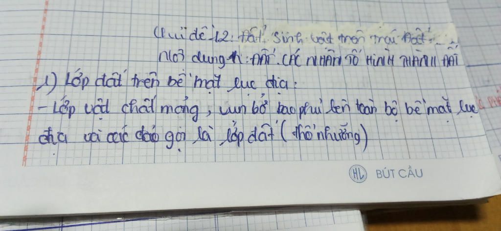 dat-la-gi-neu-cac-nhan-to-hinh-thanh-dat-nhanh-mik-sap-di-hok-nhanh-10-gio-20-mik-se-vote-va-cho