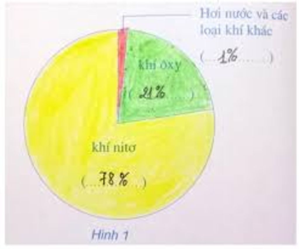 dia-li-ve-so-do-the-hien-dac-diem-cac-tang-cua-lop-vo-khi