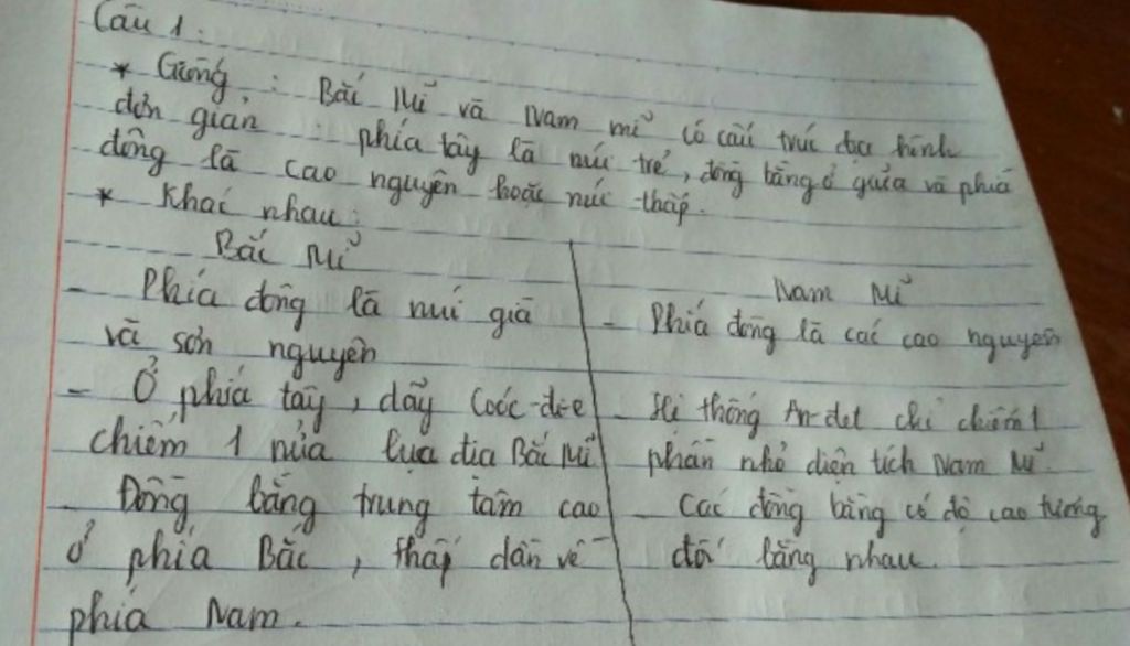 diem-khac-nhau-va-giong-nhau-cua-bac-mi-va-nam-mi