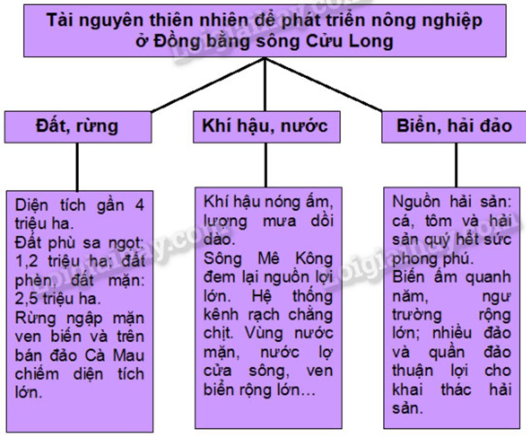 dieu-kien-tu-nhien-va-tai-nguyen-thien-nhien-cua-vung-dong-nam-bo-dong-bang-song-cuu-long-co-nhu