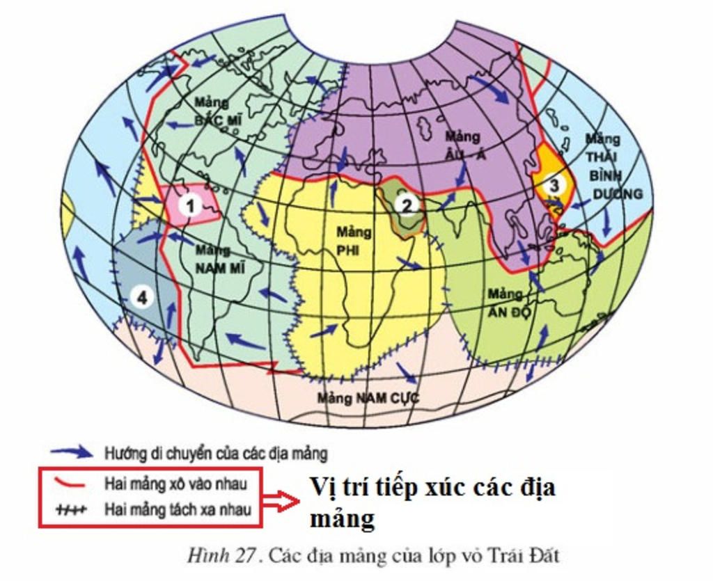 dua-vao-hinh-duoi-hay-neu-so-luong-cac-dia-mang-chinh-cua-lop-vo-trai-dat-do-la-nhung-dia-mang-n
