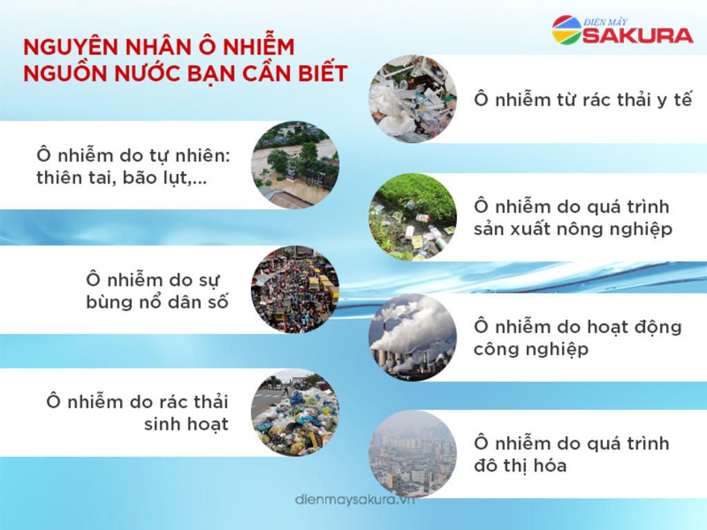 em-hay-chung-minh-song-ngoi-viet-nam-co-gia-tri-to-lon-ve-nhieu-mat-nguyen-nhan-nao-gay-ra-o-nhi