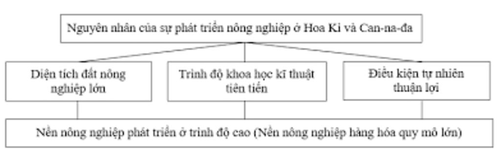 giup-minh-voi-ngay-mai-minh-kiem-tra-roi-cau-1-hay-ve-so-do-the-hien-nen-nong-nghiep-co-hieu-qua
