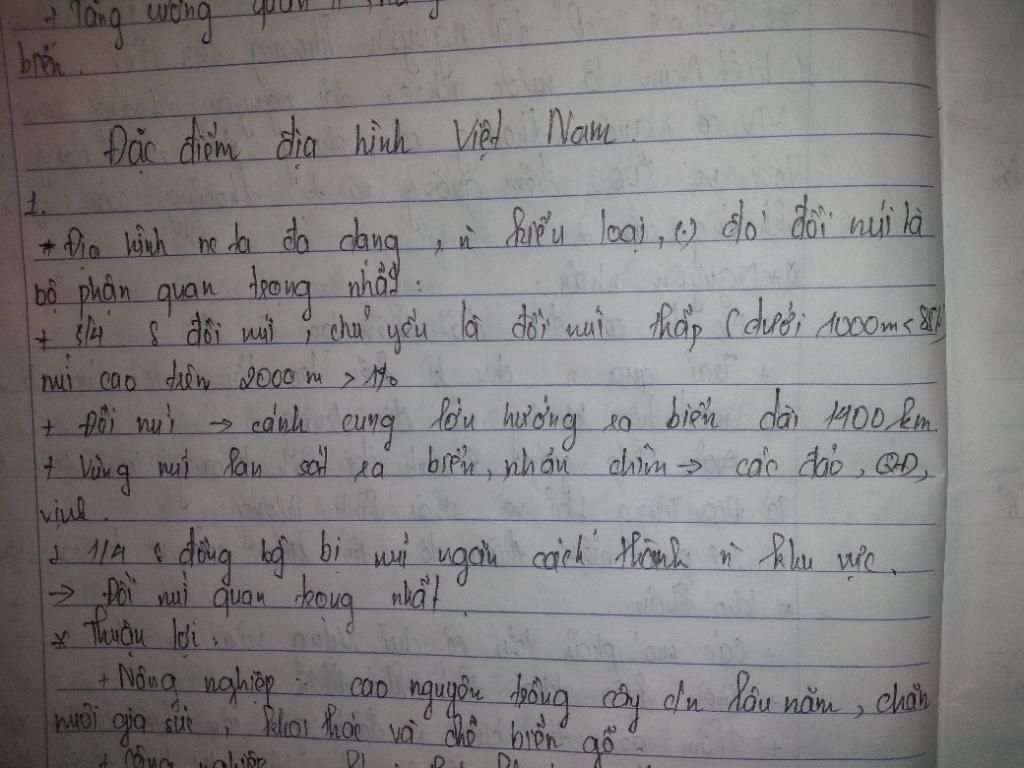 hay-cho-biet-cac-dac-diem-chung-cua-dia-hinh-nuoc-ta