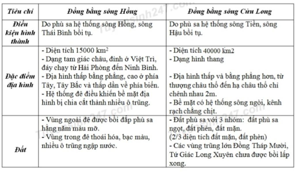 hay-cho-biet-diem-khac-nhau-cua-dong-bang-bac-bo-va-dong-bang-song-cuu-long-la-j