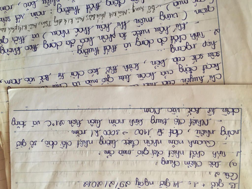 hay-chung-minh-tinh-da-dangvaf-that-thuong-cua-khi-hau-viet-nam-va-cho-biet-tai-sao-mua-dong-cua