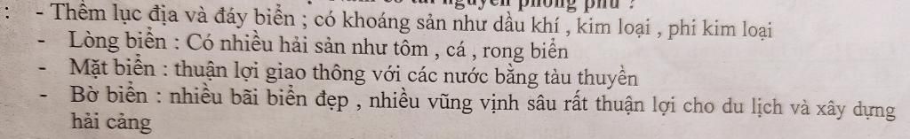 hay-nhap-vai-la-huong-dan-vien-du-lich-de-noi-ve-tiem-nang-cua-vung-bien-viet-nam