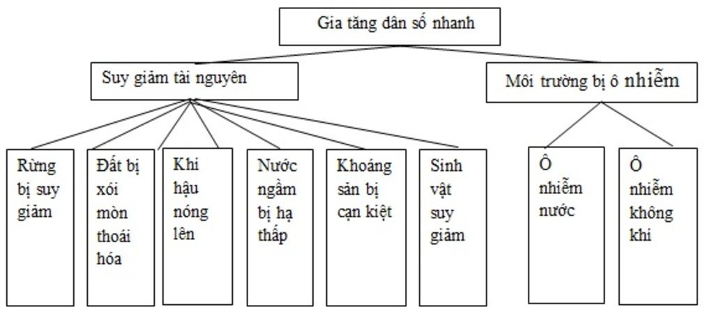 hay-ve-so-do-the-hien-tac-dong-tieu-cuc-cua-viec-gia-tang-dan-so-qua-nhanh-o-doi-nong-doi-voi-ta
