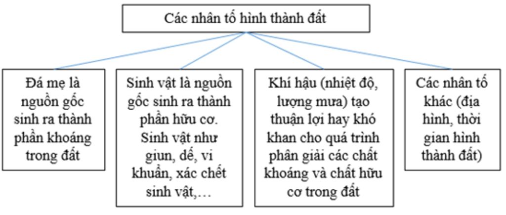 ho-mong-ngua-duoc-hinh-thanh-nhu-the-nao-nhung-nhan-to-chinh-nao-hinh-thanh-len-dat-cac-nhan-to