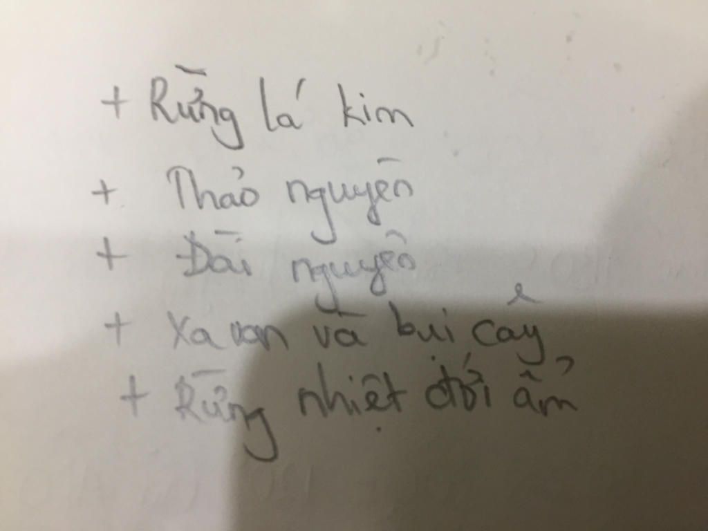 ke-ten-cac-rung-tuong-ung-voi-cac-doi-khi-hau-o-chau-a