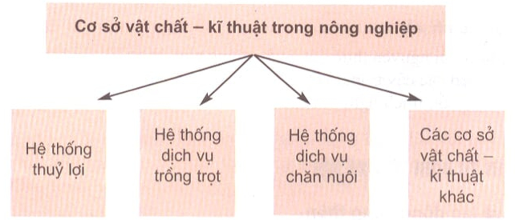 lap-mot-so-do-ve-cac-yeu-to-dan-den-nen-nong-nghiep-hieu-qua-cao-o-bac-mi