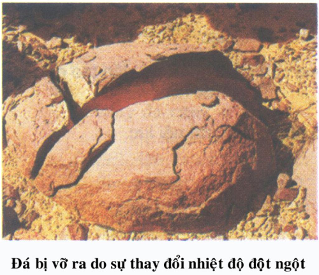 moi-nguoi-co-the-cung-cap-cho-em-hinh-anh-ve-dia-li-10-bai-9-phan-c-phong-hoa-li-hoc-duoc-khong