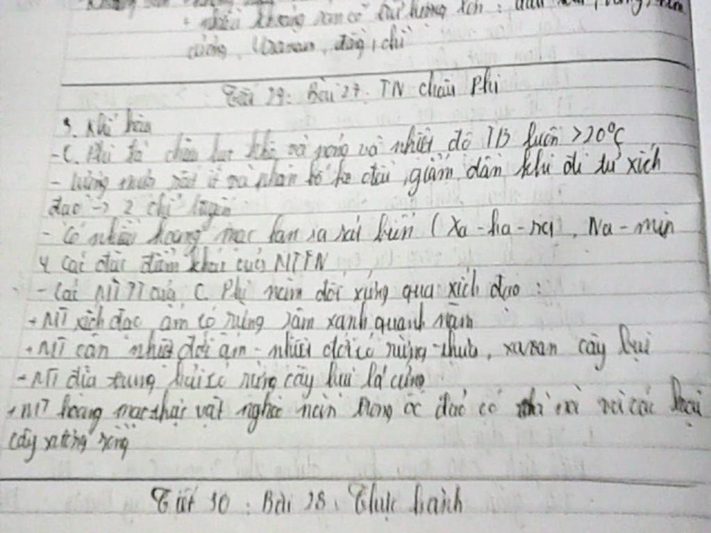 neu-dac-diem-cua-cac-moi-truong-tu-nhien-cua-chau-phi
