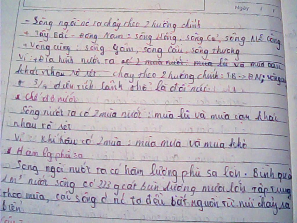 neu-dac-diem-song-ngoi-o-viet-nam