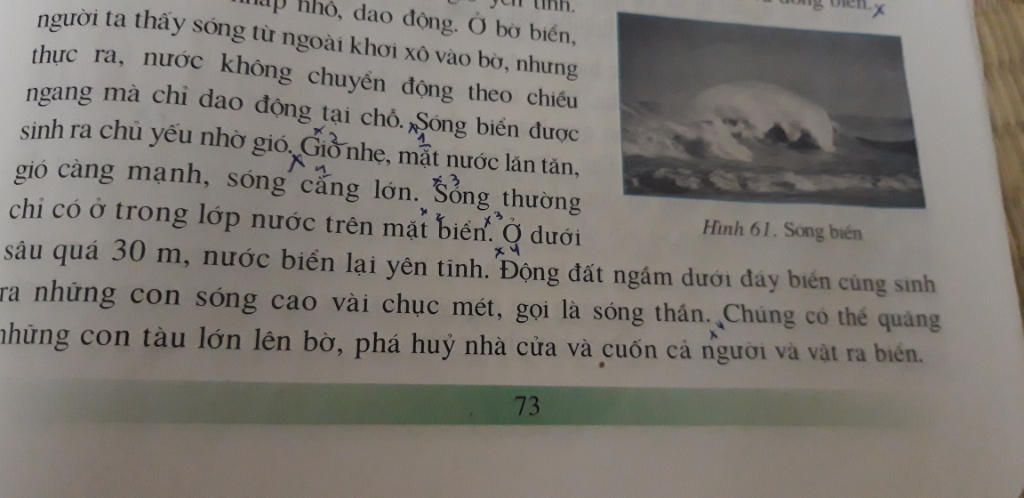 neu-khai-niem-va-dac-diem-cua-song