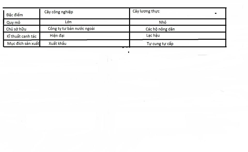 neu-su-khac-nhau-trong-san-uat-cay-cong-nghiep-va-cay-luong-thuc-o-chau-phi