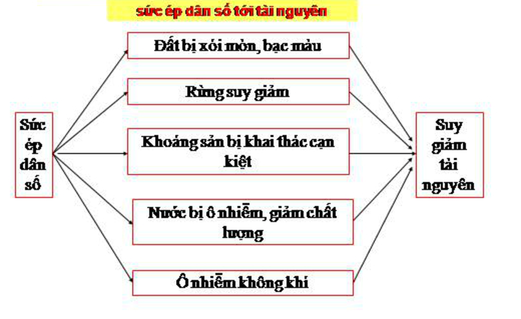 neu-suc-ep-cua-dan-so-toi-tai-nguyen-moi-truong-dac-diem-hau-qua-va-giai-phap-nhanh-giup-mik-r-m