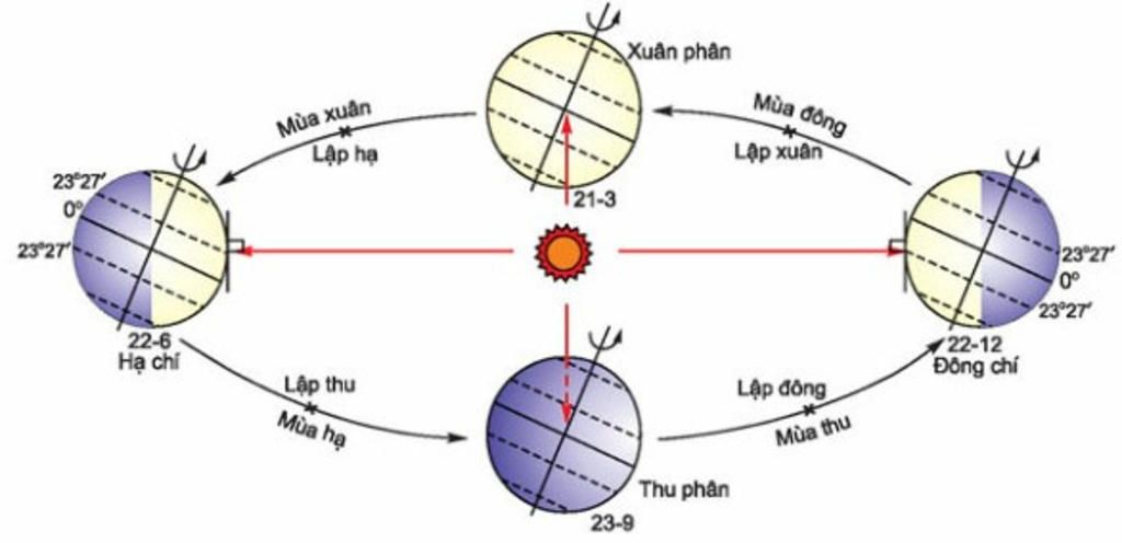 nguoi-ta-hay-goi-la-uan-phan-ha-chi-thu-phan-dong-chi-nhung-tai-sao-ko-goi-ha-phan-va-dong-phan