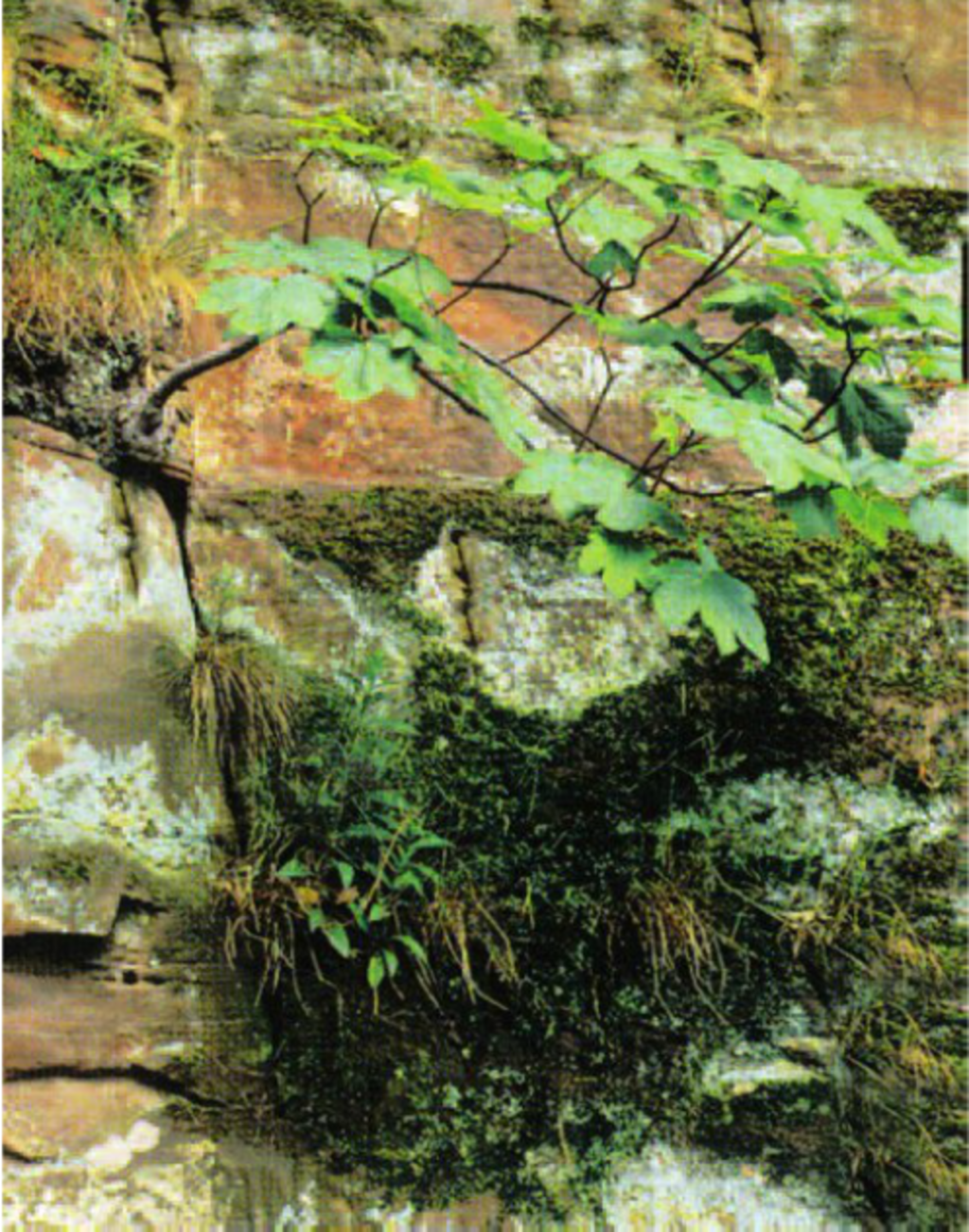 phan-biet-4-qua-trinh-cua-ngoai-luc