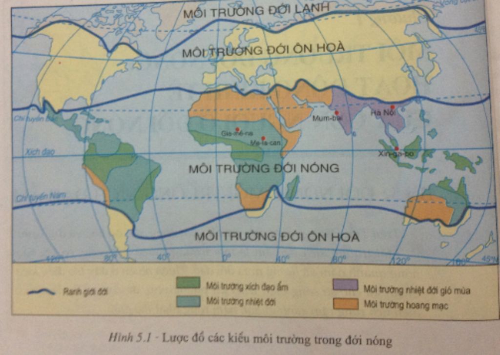quan-sat-luoc-do-hinh-5-1-cac-kieu-moi-truong-o-doi-nong-em-hay-cho-biet-viet-nam-nam-trong-kieu