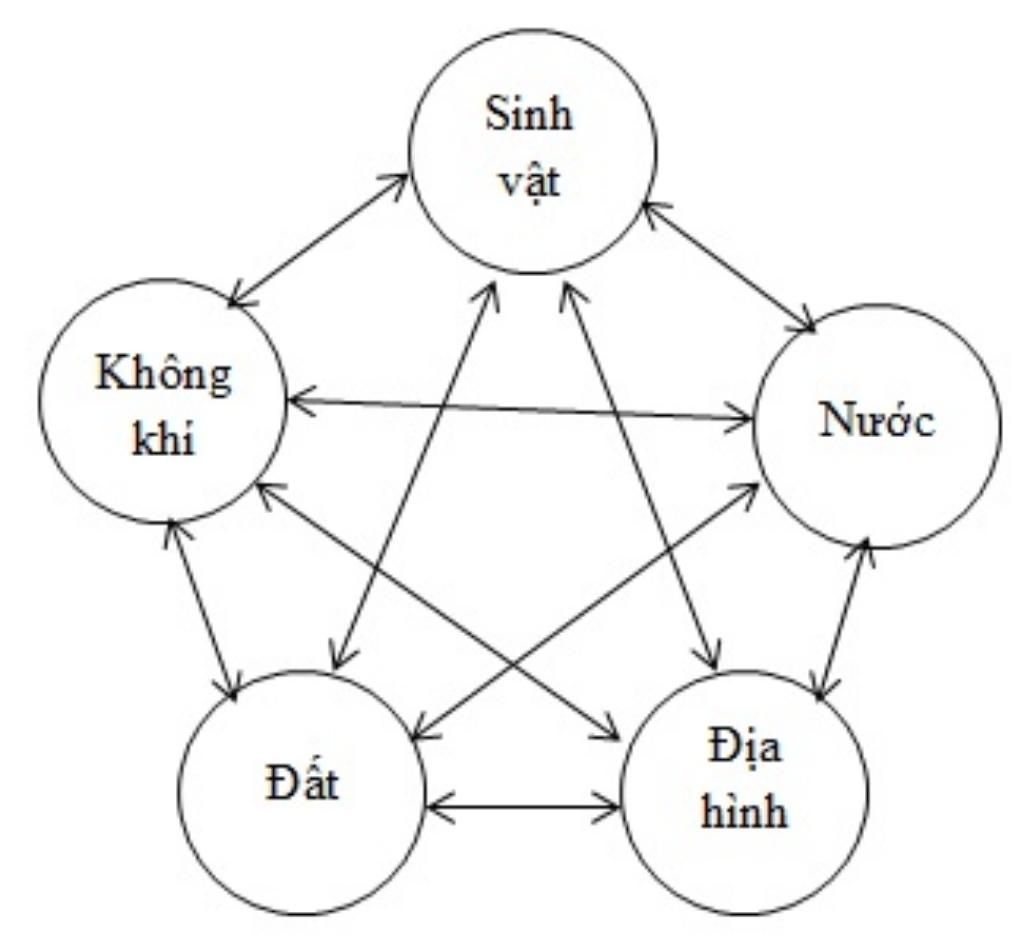 so-do-moi-quan-he-giua-dia-hinh-khi-hau-va-canh-quan-tu-nhien-khu-vuc-nam-a