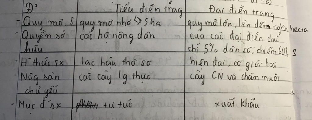 so-sanh-hinh-thuc-tieu-dien-trang-va-dai-dien-trang