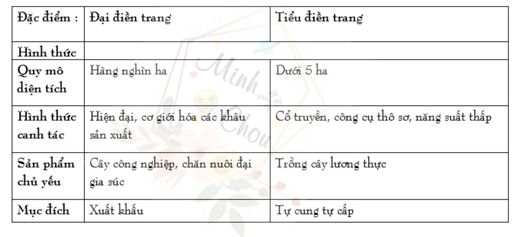 so-sanh-su-giong-va-khac-nhau-giua-tieu-dien-trang-vadai-dien-trang-can-gap-nhanh-nhe