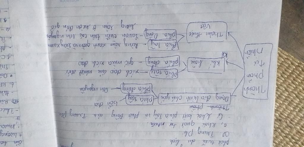 so-sanh-su-khac-nhau-ve-dia-hinh-phan-phia-tay-va-phan-phia-dong-cua-khu-vuc-trung-phi