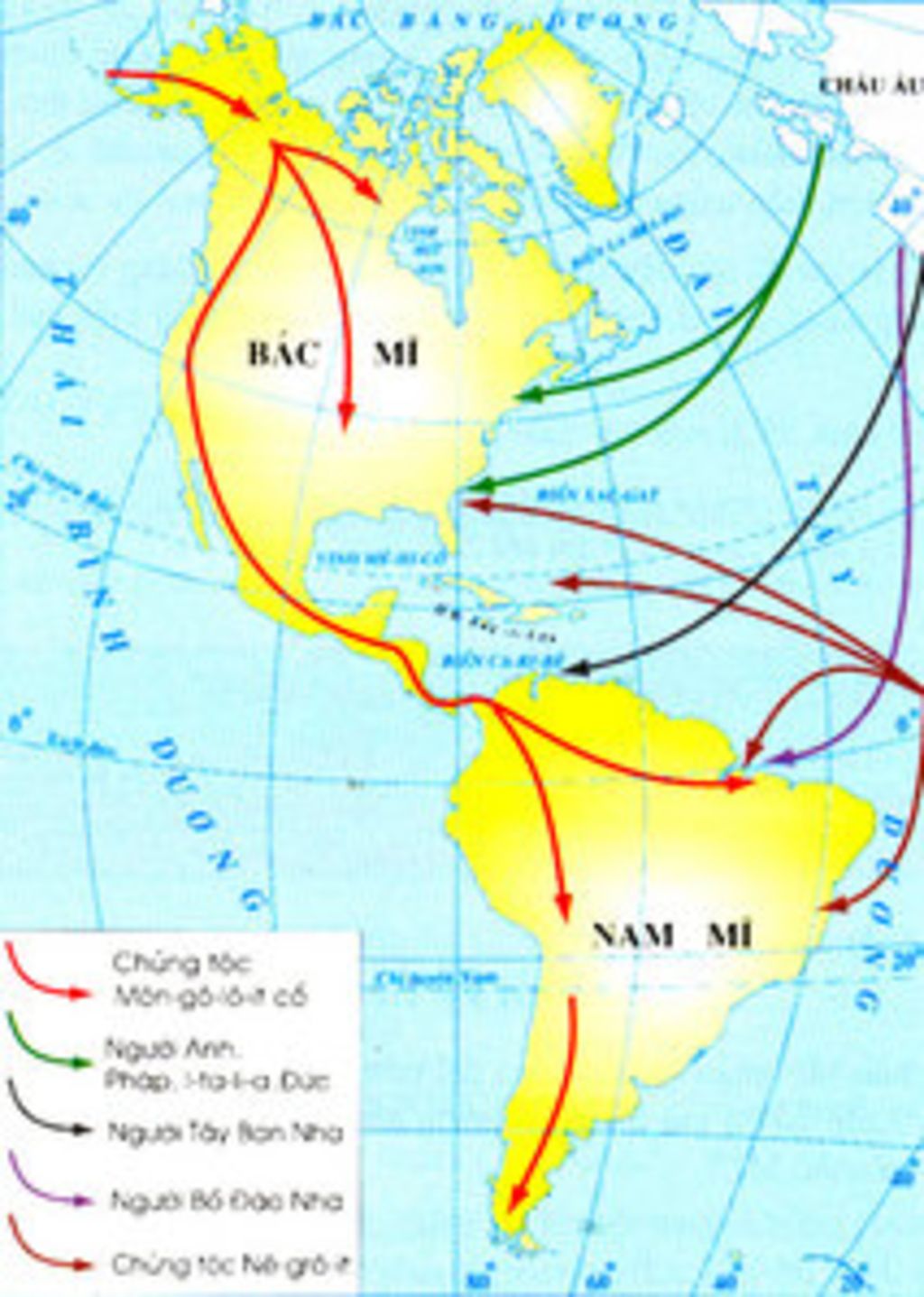 tai-sao-co-su-khac-nhau-ve-ngon-ngu-giua-dan-cu-khu-vuc-bac-mi-voi-dan-cu-khu-vuc-trung-va-nam-m