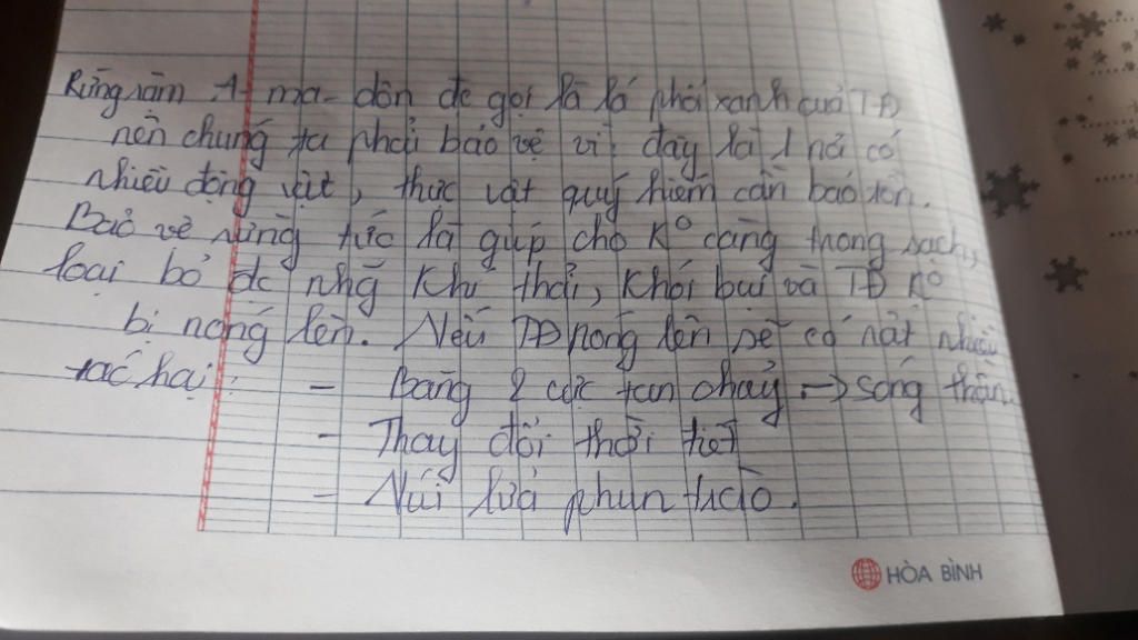 tai-sao-phai-dat-van-de-bao-ve-rung-a-ma-zon-hay-neu-1-so-bien-phap-nham-gop-phan-bao-ve-moi-tru