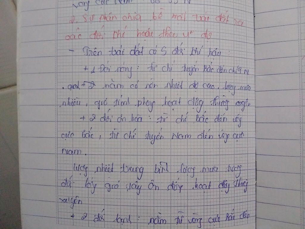 trai-dat-chia-lam-cac-doi-khi-hau-nao-dac-diem-cua-doi-khi-hau-nhiet-doi-on-doi