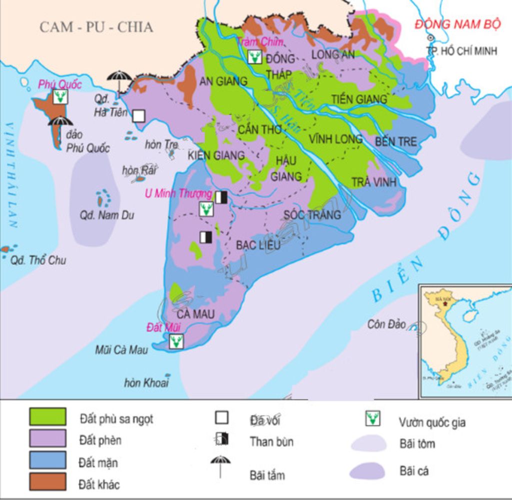 trinh-bay-cac-dieu-kien-tu-nhien-va-tai-nguyen-thien-nhien-cua-vung-dong-bang-song-cuu-long-co-t