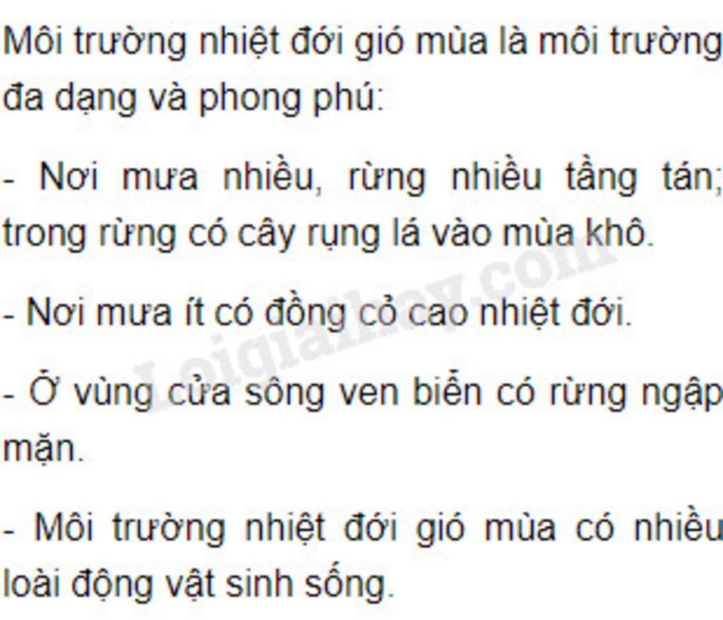 trinh-bay-da-dang-cua-moi-truong-nhiet-doi-gio-mua