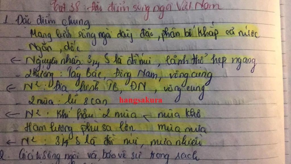 trinh-bay-dac-diem-chung-cua-song-ngoi-viet-nam-giai-thich-tai-sao