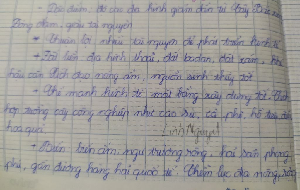 trinh-bay-nhung-dieu-kien-thuan-loi-trong-san-uat-kinh-te-a-hoi-cua-dong-nam-bo