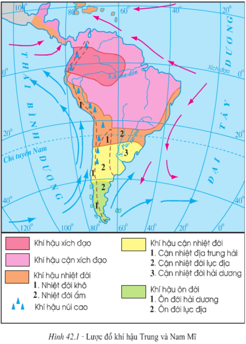 trinh-bay-su-phan-hoa-ve-mat-tu-nhien-cua-moi-truong