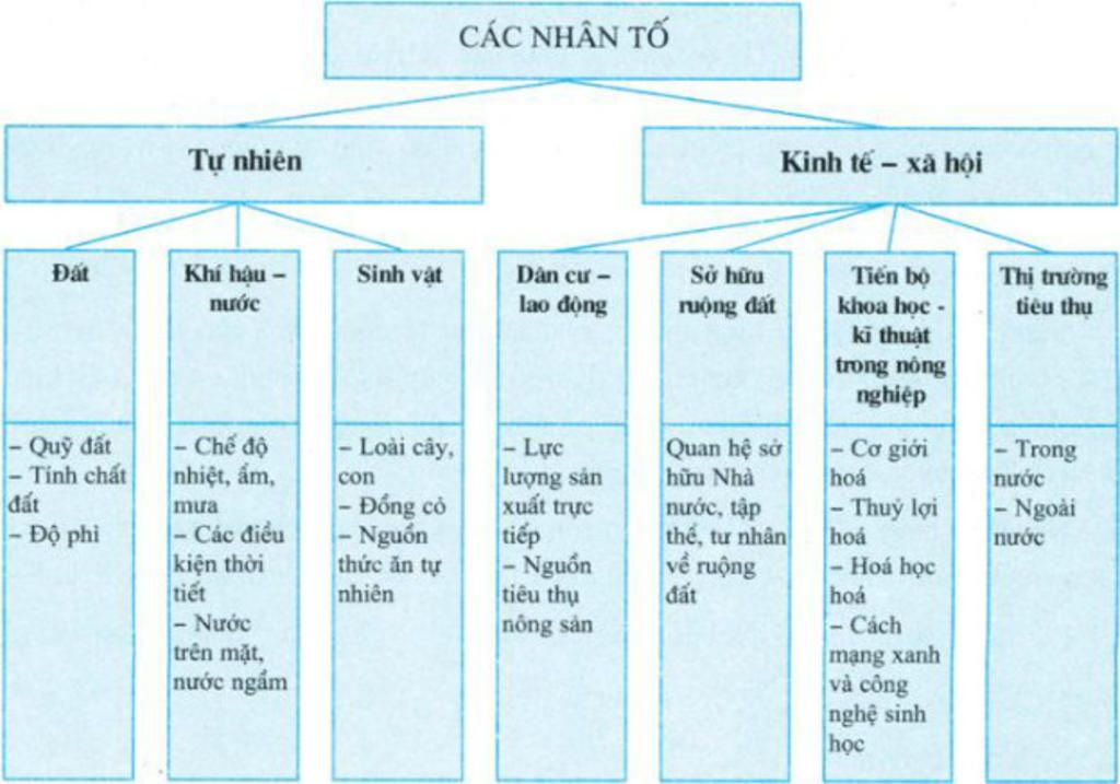 ve-luoc-do-tu-duy-the-hien-cac-nhan-to-anh-huong-den-khi-hau-chau-phi