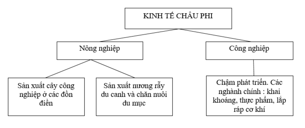 ve-so-do-nhung-kho-khan-trong-cong-nghiep-o-chau-phi-giup-mik-vs-a