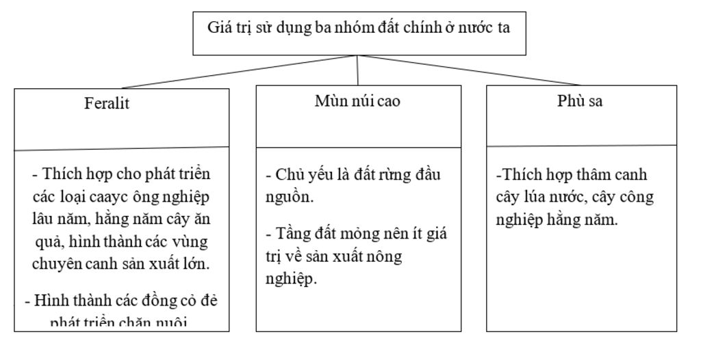 ve-so-do-tu-duy-cac-nhom-dat-chinh