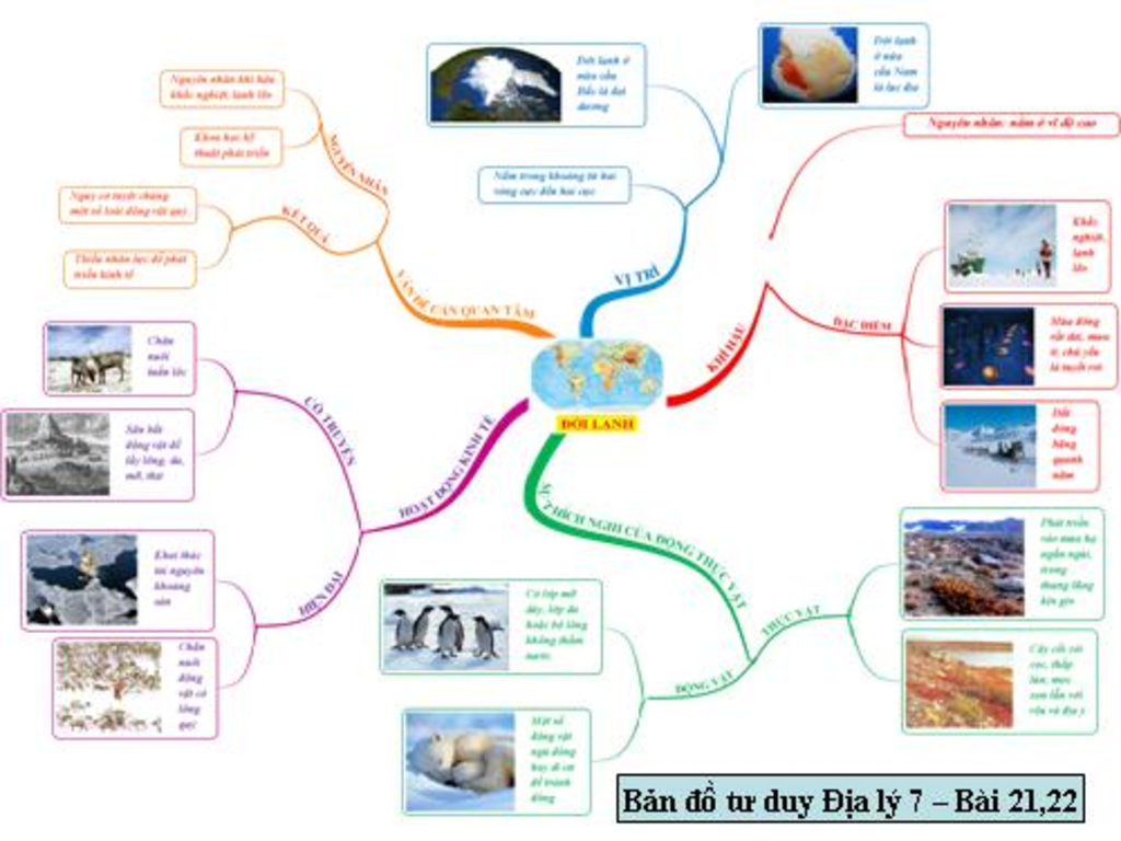 ve-so-do-tu-duy-ve-doi-lanh-bai-21-22