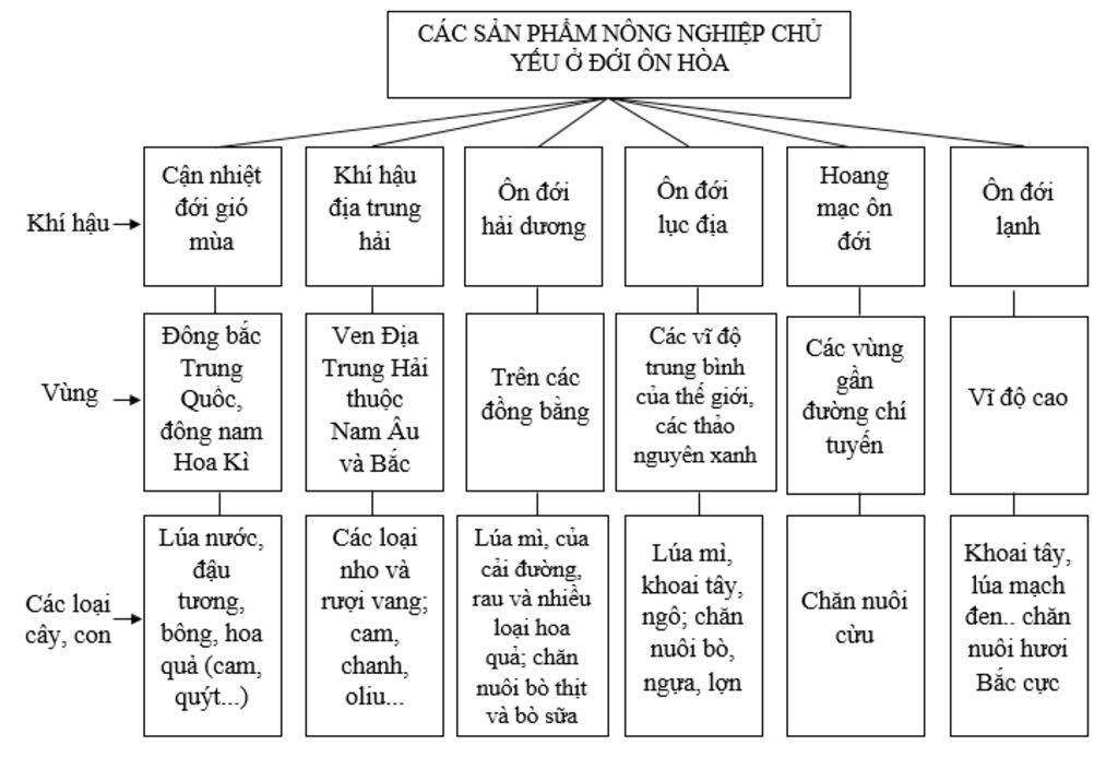 ve-so-do-tu-duy-ve-doi-on-hoa