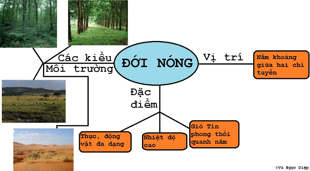 ve-so-do-tu-duy-ve-moi-truong-nhiet-doi-gio-mua-nhanh-va-dung-se-vote5-va-ctlhn-nha