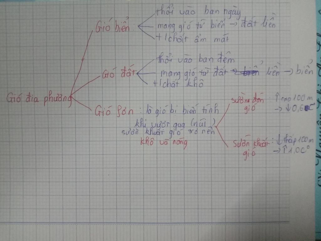 Vẽ sơ đồ và trình bày cơ chế hoạt động của gió đất, gió biển và gió phơn ve-so-do-va-trinh-bay-co-che-hoat-dong-cua-gio-dat-gio-bien-va-gio-phon