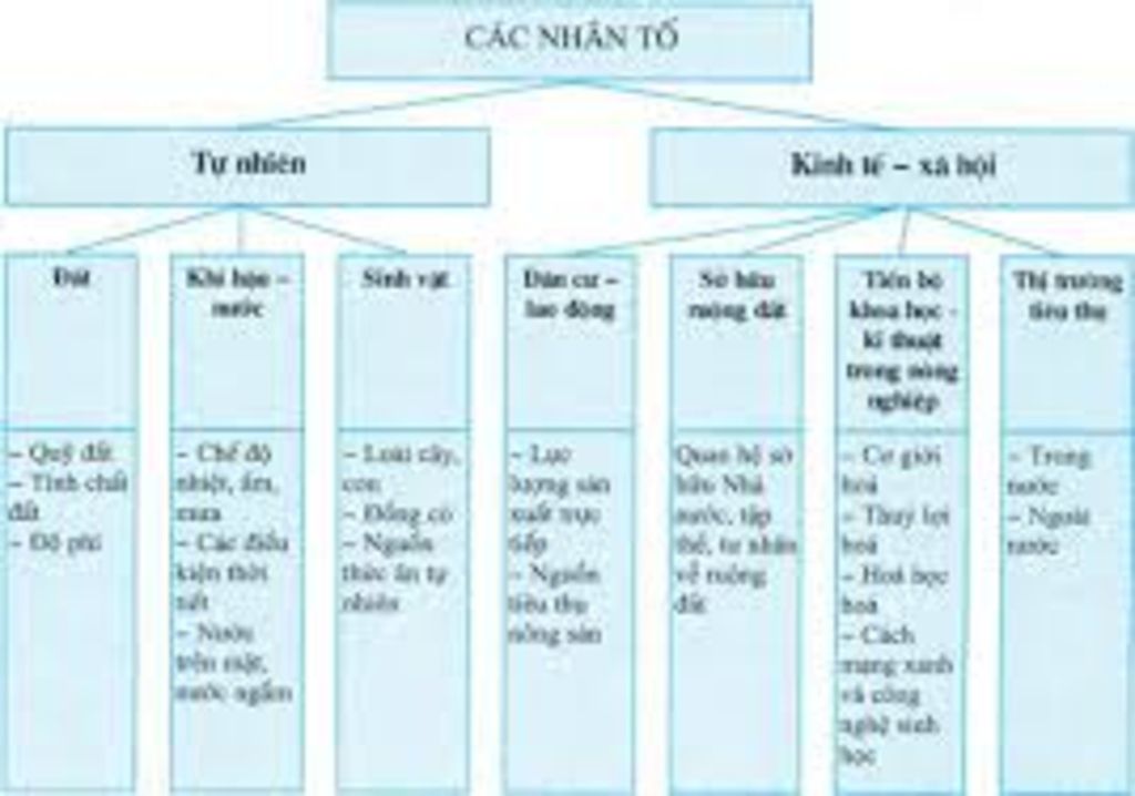 ve-so-do-ve-cac-nhan-to-tu-nhien-anh-huong-den-su-phat-trien-va-phan-bo-nganh-giao-thong-van-tai