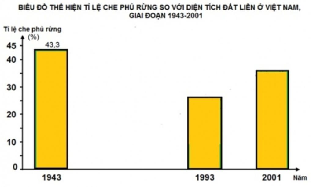 ve-so-lieu-rung-viet-nam-tang-giam-theo-so-nam-nhan-et-tai-sao-tang-tai-sao-giam