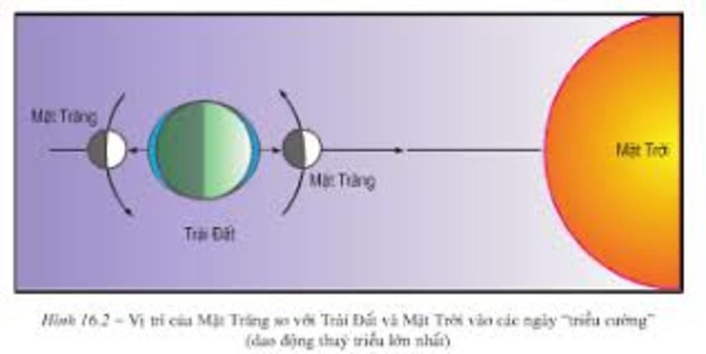 ve-vi-tri-mat-troi-trang-trai-dat-ngay-chieu-cuong-chieu-kem