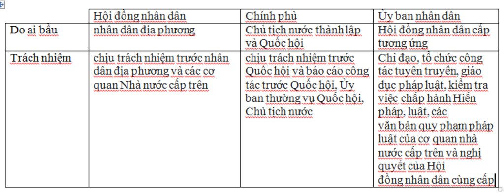 chinh-phu-hoi-dong-nhan-dan-uy-ban-nhan-dan-do-ai-bau-ra-va-lam-nhiem-vu-gi