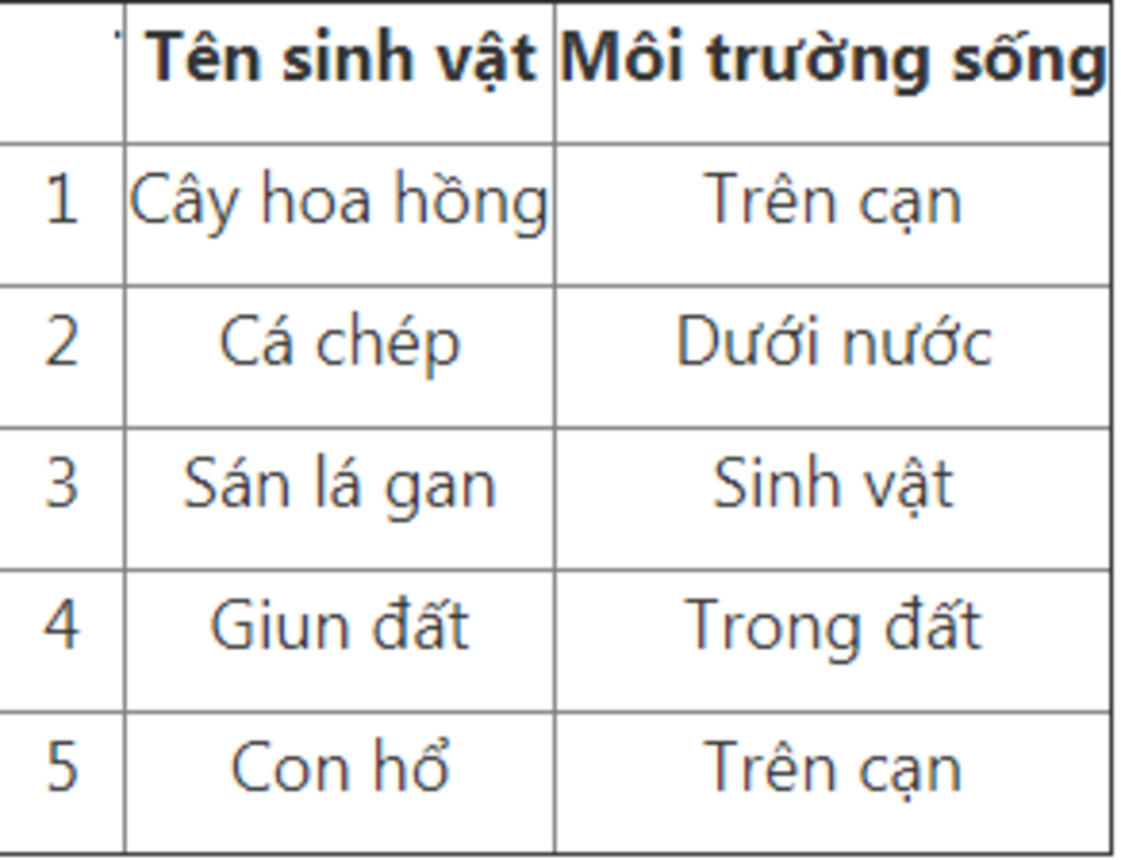 co-may-loai-moi-truong-ke-ten-va-neu-vi-du